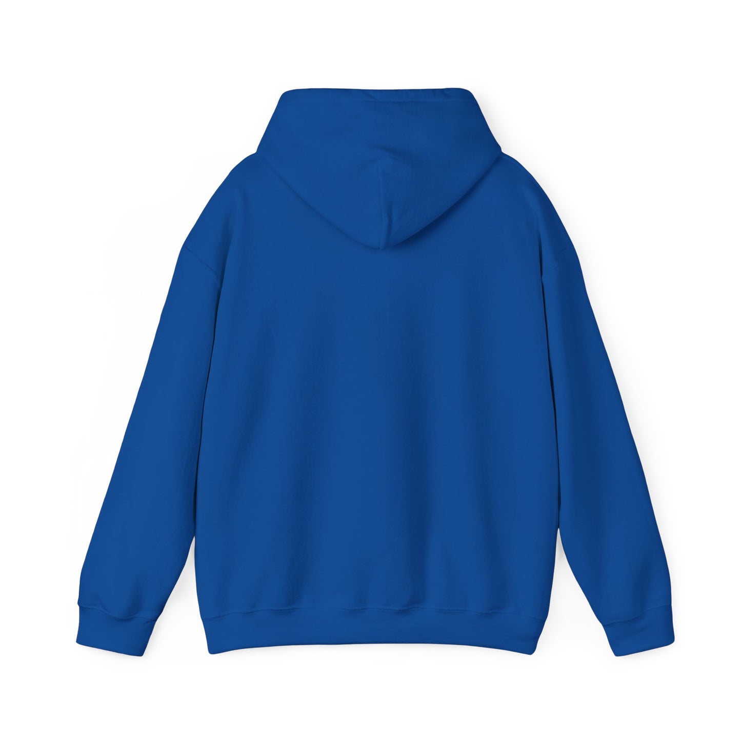 Minimal Monogram Hoodie — Blue & Green 'R' Logo Pullover