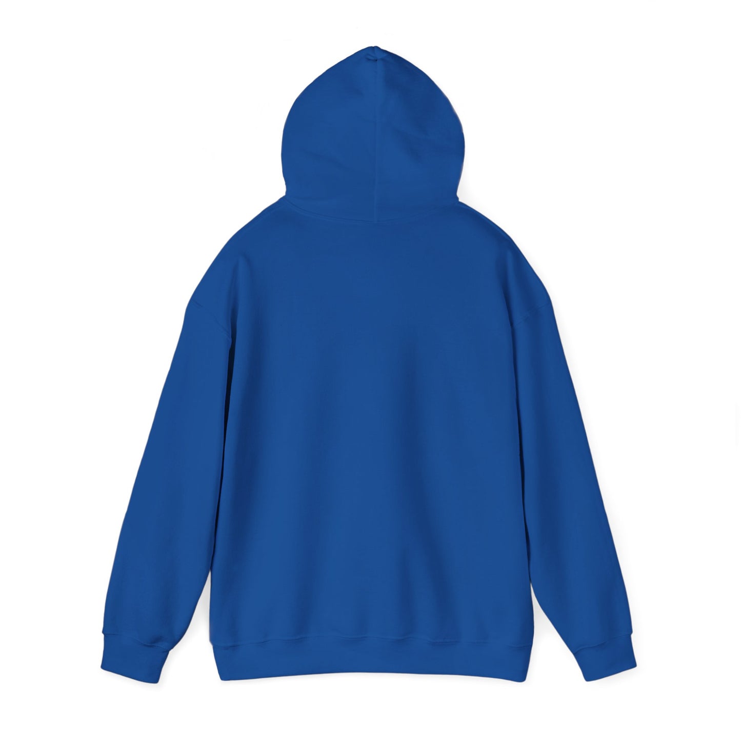 Minimal Monogram Hoodie — Blue & Green 'R' Logo Pullover