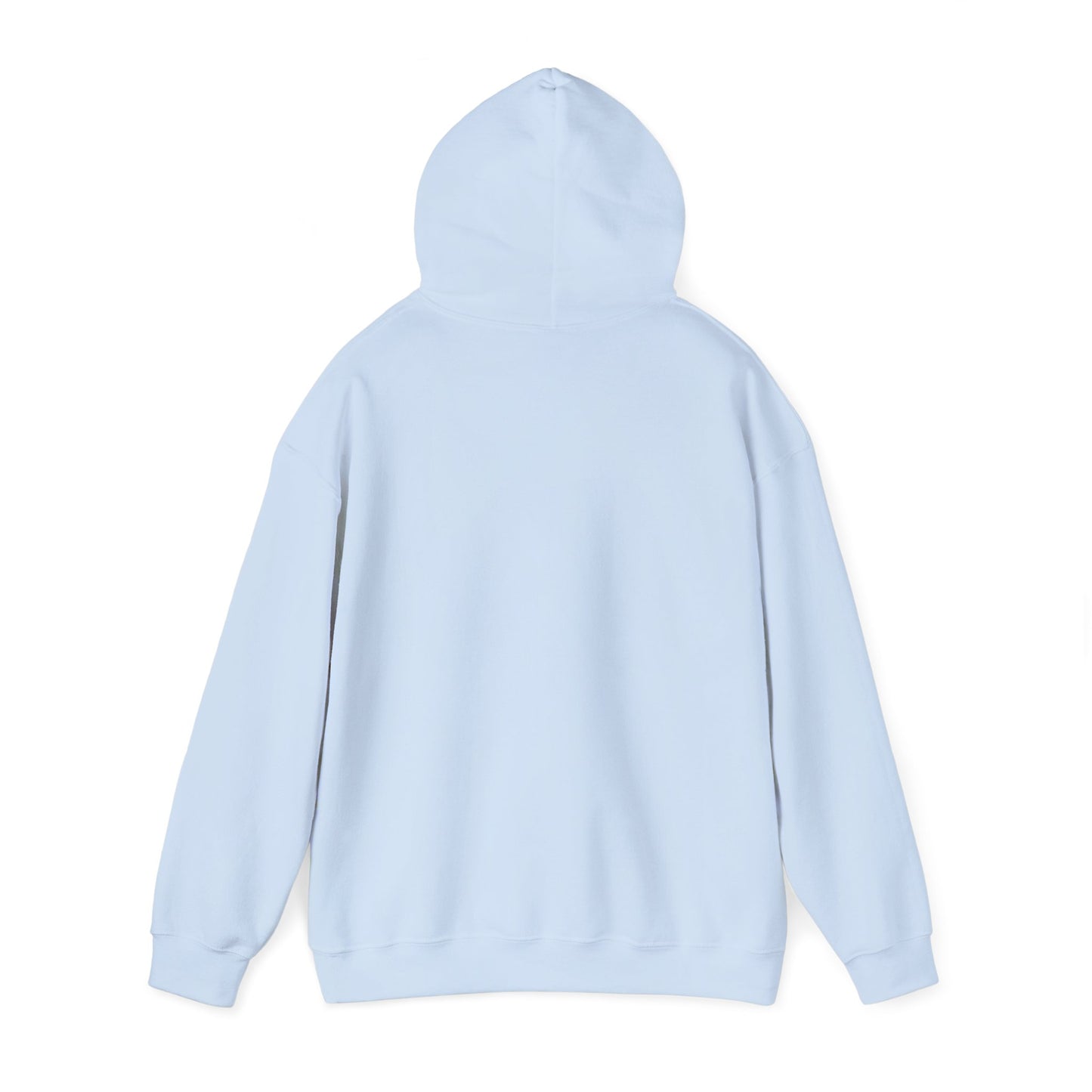 Minimal Monogram Hoodie — Blue & Green 'R' Logo Pullover